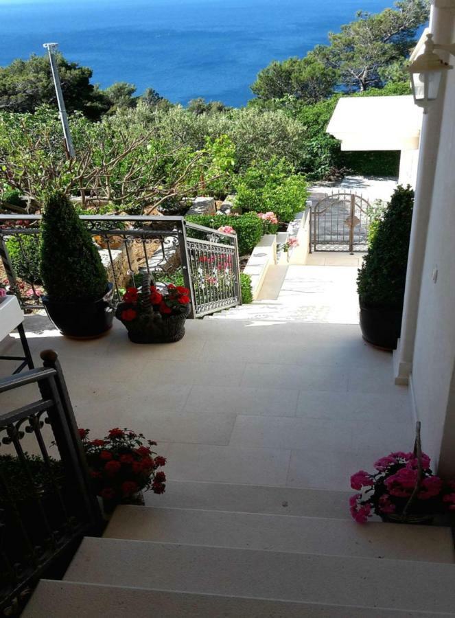Guest House Fenix بريلا المظهر الخارجي الصورة
