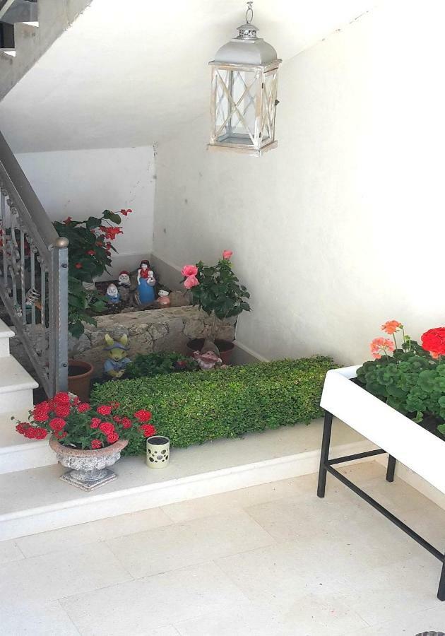 Guest House Fenix بريلا المظهر الخارجي الصورة