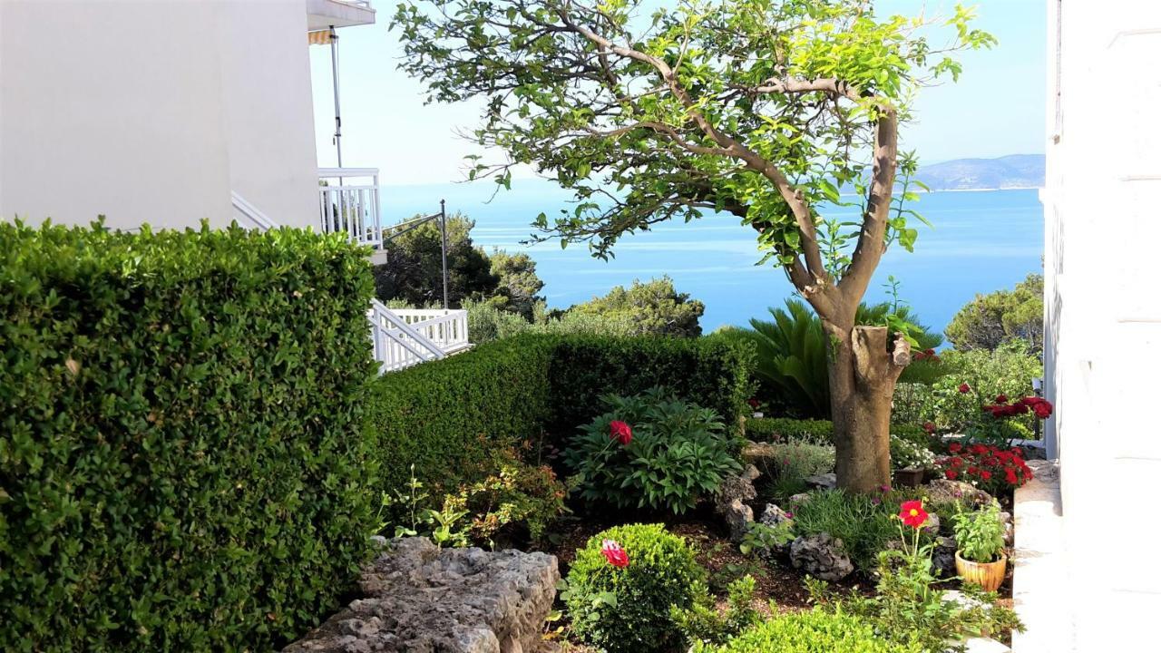 Guest House Fenix بريلا المظهر الخارجي الصورة
